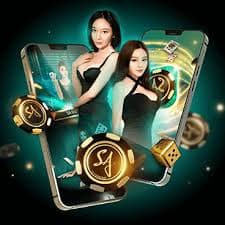biji login