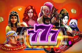 biji login